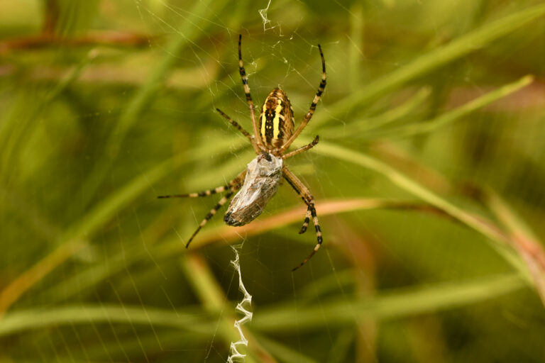 DSC_3198_1800