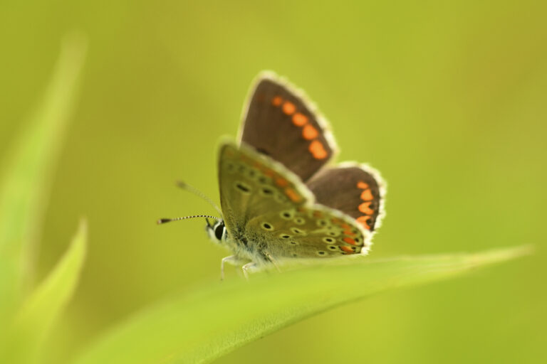 DSC_3360_1800
